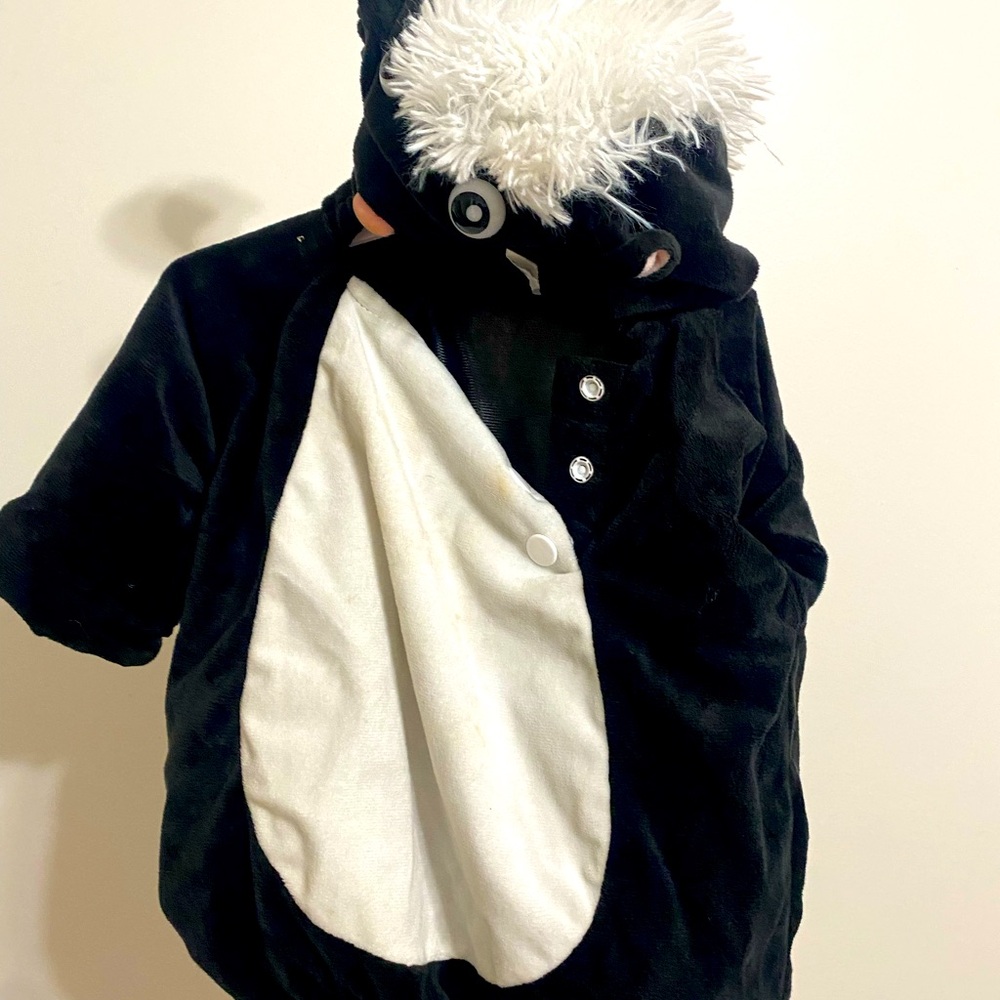 Skunk Halloween costume